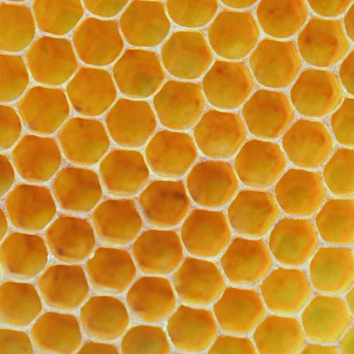 Nie je vosk ako vosk – emulgačný vosk včelím nenahradíš